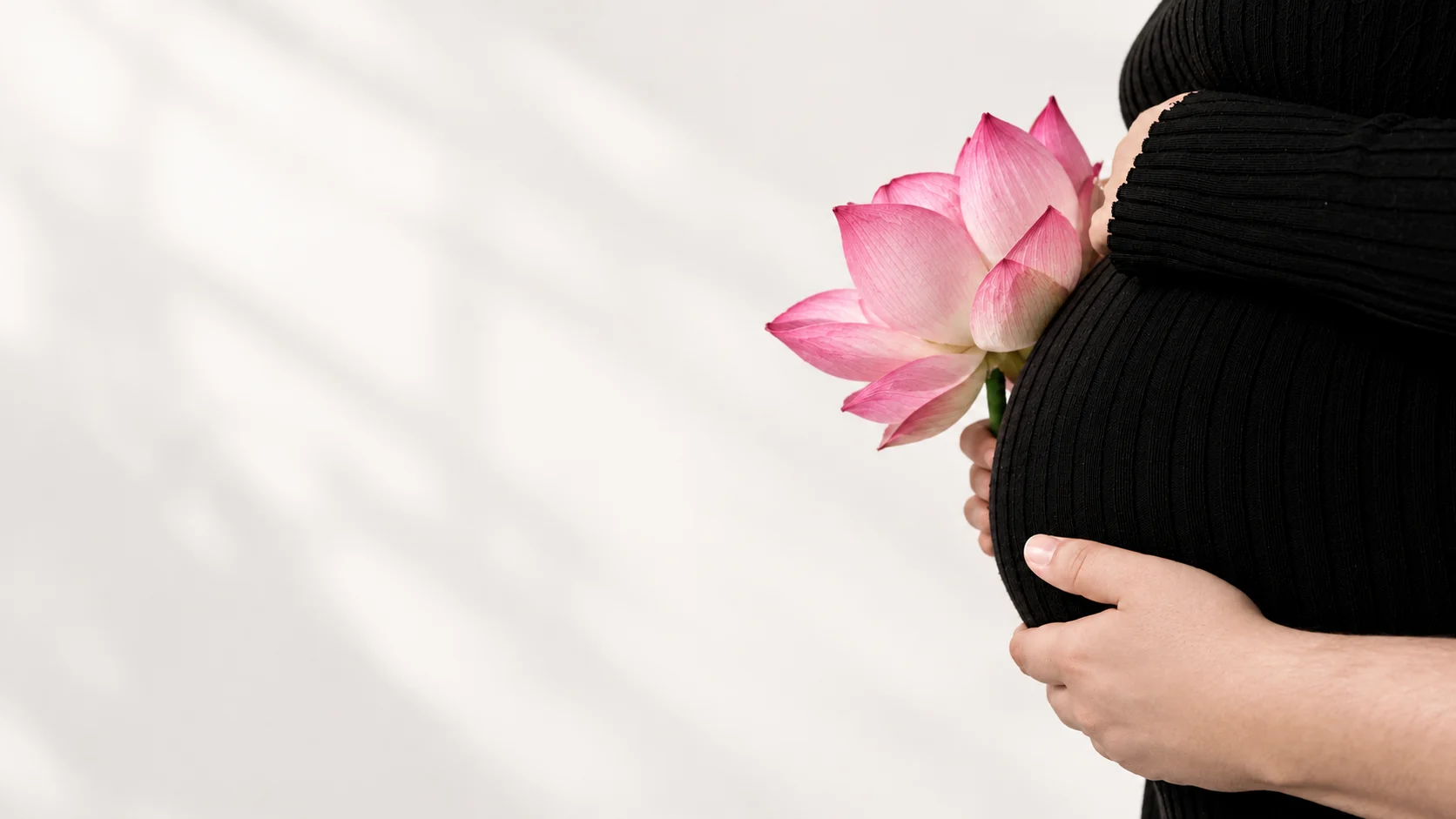 A woman holding a pink lotus beside her pregnancy bump